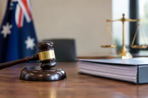 Best Sentencing Submissions Examples in NSW